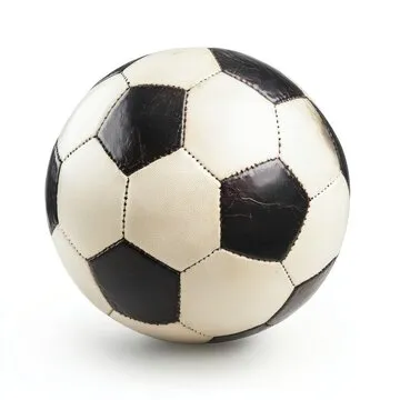 运动瞬间与团队风采